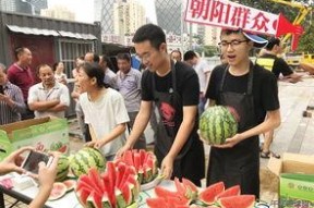 朝阳在线吃瓜网,揭秘娱乐圈最新热点，带你领略幕后故事