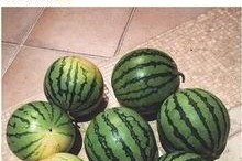 吃瓜网七夕,吃瓜网带你揭秘明星情侣们的浪漫瞬间